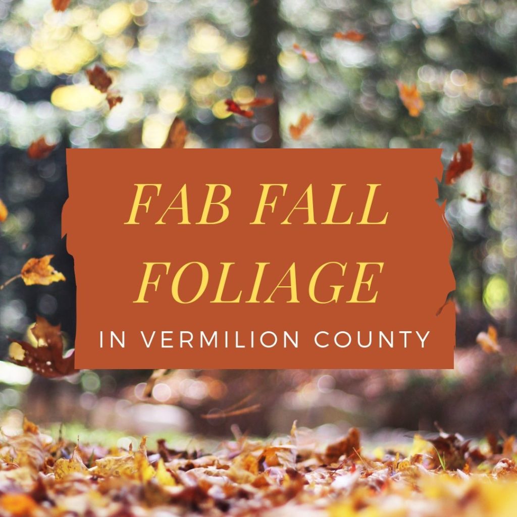 Danville Area Fall Colors