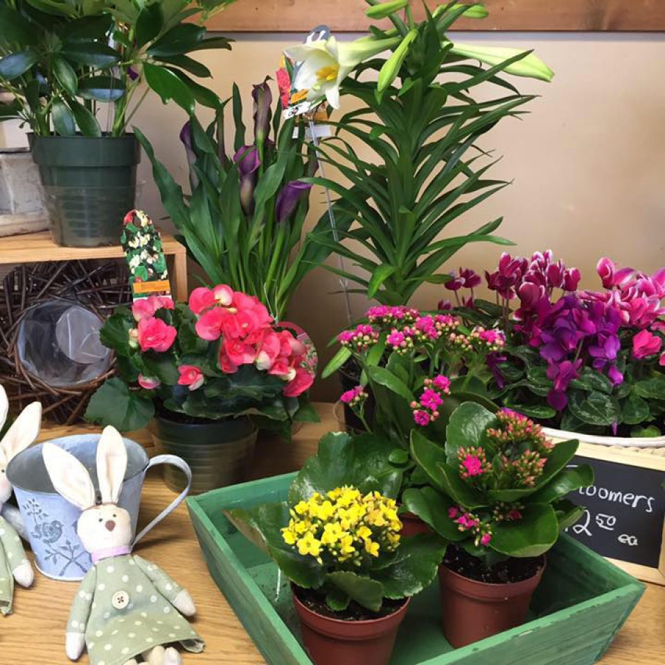 Anker Florist (2) square