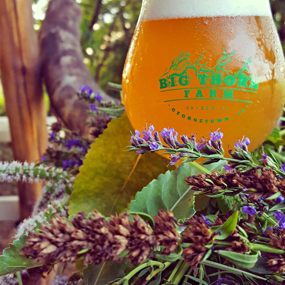 Big Thorn Tree Bar (Cred_ Anna Schweig)