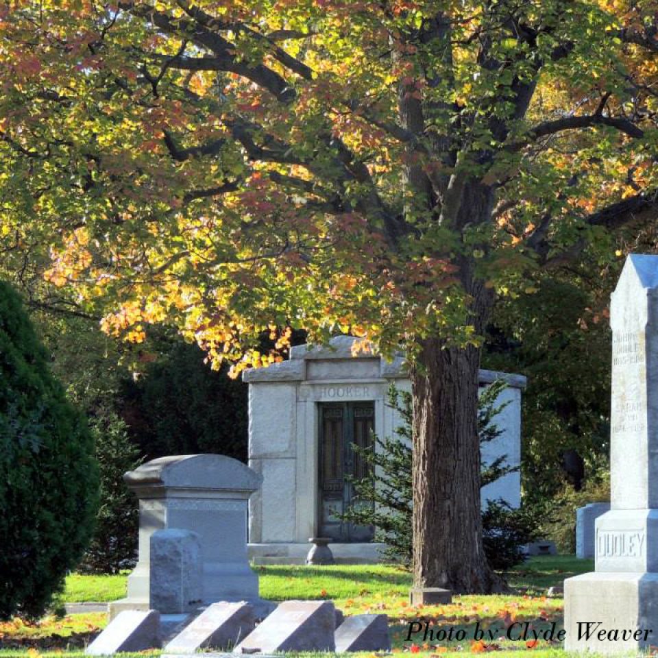 CREDIT Clyde Weaver_Spring Hill Cemetery SQUARE