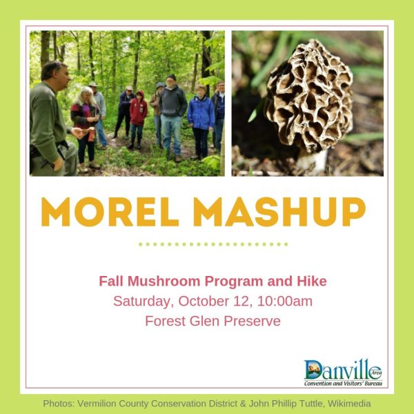Fall Mushroom Hunting at Forest Glen Preserve