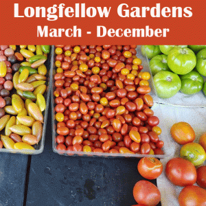 Longfellow-Gardens