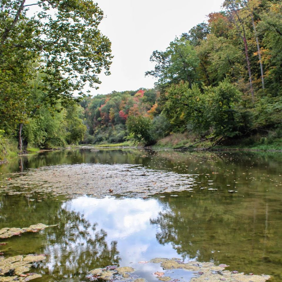 Middlefork upstream 28sept13-1-2 square