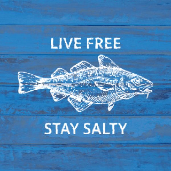 Saltys Pub - feature