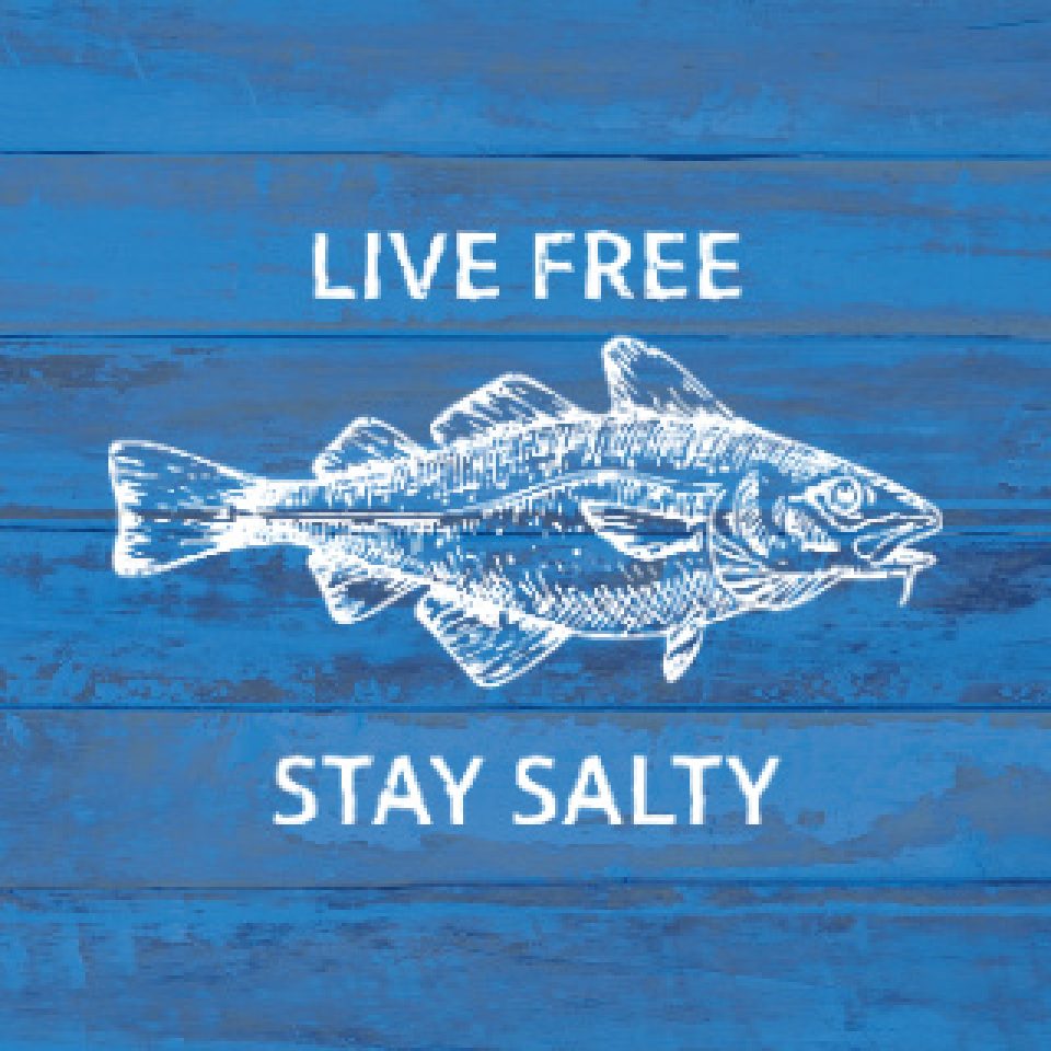 Saltys Pub - feature