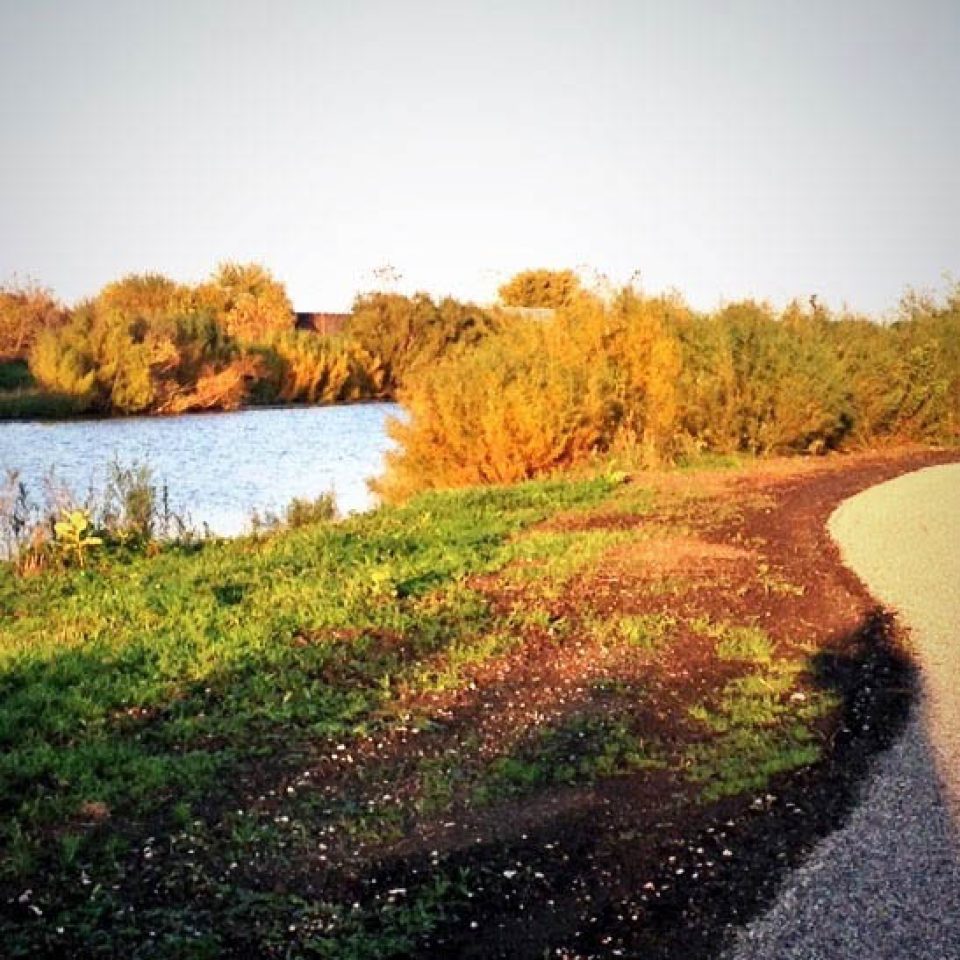 Southgate Habitat square