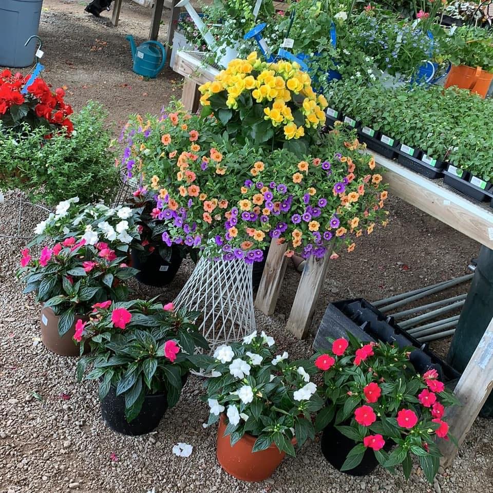 Swartz Garden Center logo