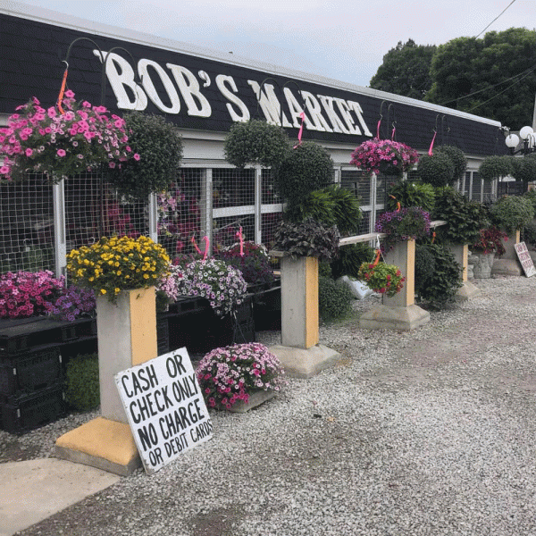 bobs-market